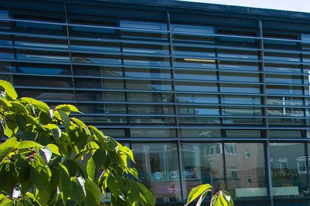 Falmer campus square