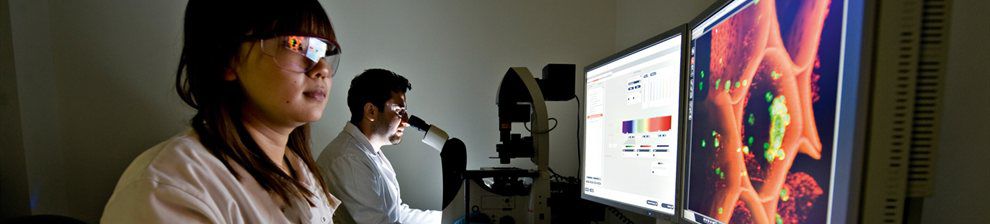 Two people in white lab coats looking at medical images, one with a microscope