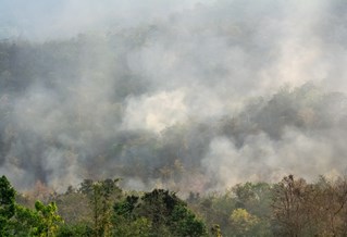 Atmospheric landscape with vapour clouds rising from hills of forest