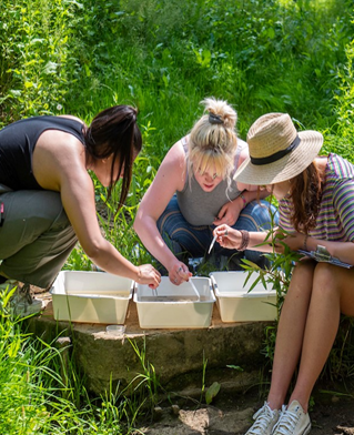 A team of ecology and conservation researchers working outdoors