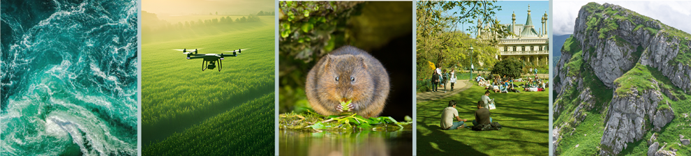 Five panel image representing research in environment and society: water, rock, drone, Brighton Pavilion gardens and a water vole.