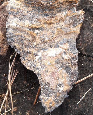 Piece of shaped rock with lichen