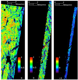 Remote sensing to establish forest dynamics and structure