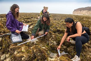 A group of students checking rock pools on a field trip