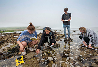 A group of students doing field work in a rock pool