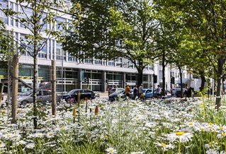 Grand Parade building with flowers