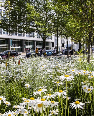 Exterior of Grand Parade Building with flowers