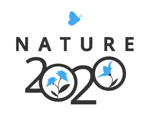 Nature 2020 logo