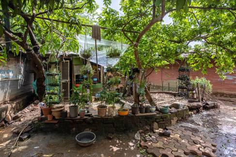 Herb garden in plastic bottles at Sanjay Gandhi National Park in Mumbai, India 