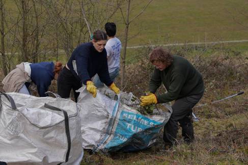 Volunteers at chalk grassland restoration bagging up debris