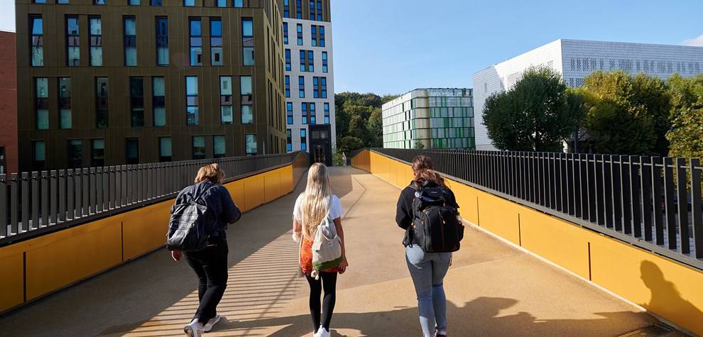 Three students crossing a bridge